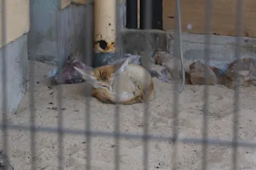 井の頭自然文化園に投稿された画像（2026/2/22）