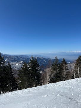 志賀高原焼額山スキー場に投稿された画像（2026/2/22）