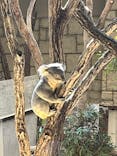 名古屋市東山動植物園に投稿された画像（2026/2/22）