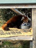 東武動物公園に投稿された画像（2026/2/22）