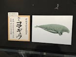 特別展「大絶滅展―生命史のビッグファイブ」に投稿された画像（2026/2/22）
