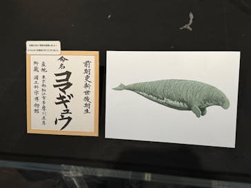 特別展「大絶滅展―生命史のビッグファイブ」に投稿された画像（2026/2/22）