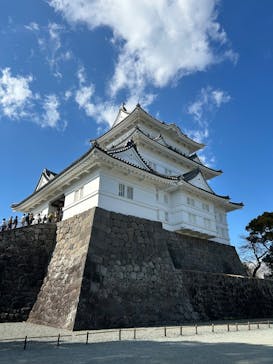 小田原城に投稿された画像（2026/2/22）