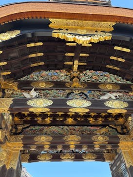 京都市観光協会（催行運営：株式会社らくたび）に投稿された画像（2026/2/22）