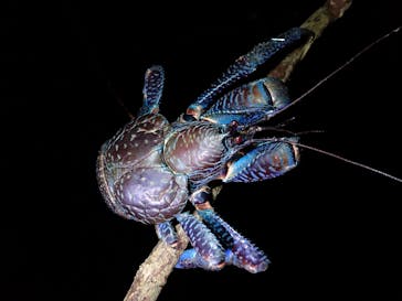 宮古島マリンショップSmileyに投稿された画像（2026/2/22）