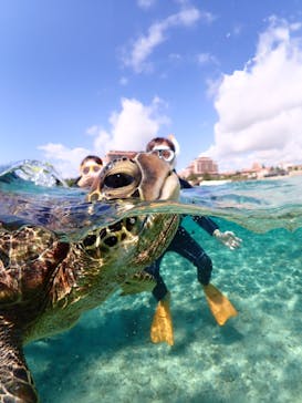 宮古島マリンショップSmileyに投稿された画像（2026/2/22）