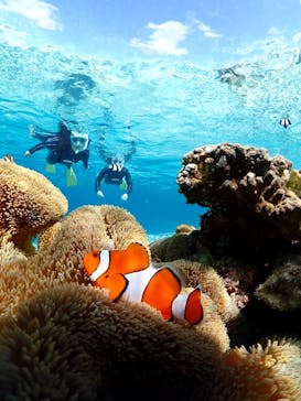 宮古島マリンショップSmileyに投稿された画像（2026/2/22）