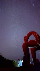 宮古島マリンショップSmileyに投稿された画像（2026/2/22）