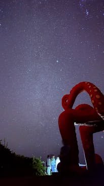 宮古島マリンショップSmileyに投稿された画像（2026/2/22）