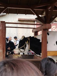 成田ゆめ牧場に投稿された画像（2026/2/22）