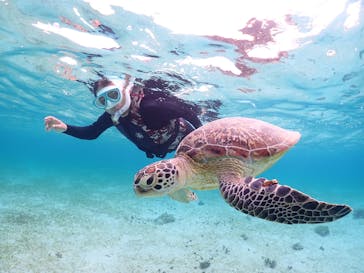 宮古島マリンショップSmileyに投稿された画像（2026/2/22）