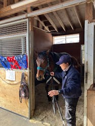 ノーザンホースパークに投稿された画像（2026/2/22）