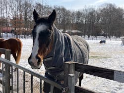 ノーザンホースパークに投稿された画像（2026/2/22）