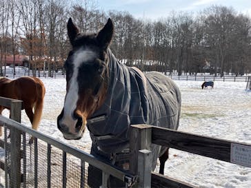 ノーザンホースパークに投稿された画像（2026/2/22）