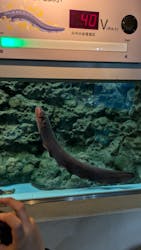 しながわ水族館に投稿された画像（2026/2/22）