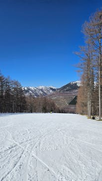 湯の丸スキー場に投稿された画像（2026/2/22）