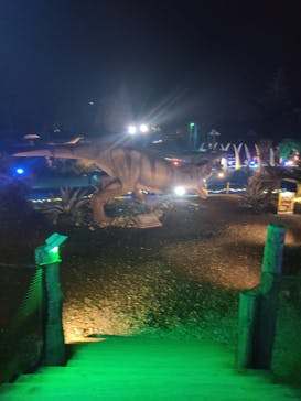 伊豆高原グランイルミに投稿された画像（2026/2/22）