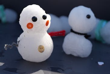 万博記念公園に投稿された画像（2026/2/22）