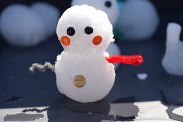 万博記念公園に投稿された画像（2026/2/22）