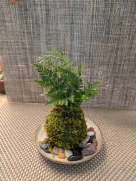 カルチャースクールいろはに投稿された画像（2026/2/22）