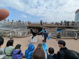 アクアワールド茨城県大洗水族館に投稿された画像（2026/2/22）