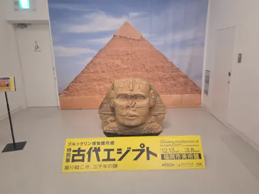 ブルックリン博物館所蔵 特別展 古代エジプト ー掘り起こせ、三千年の謎― 福岡会場に投稿された画像（2026/2/22）