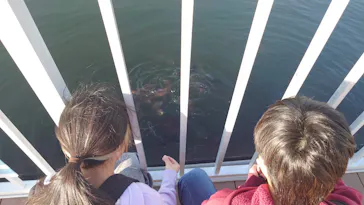 横浜・八景島シーパラダイスに投稿された画像（2026/2/22）