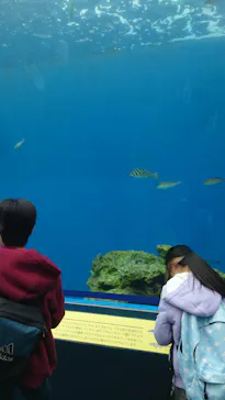 横浜・八景島シーパラダイスに投稿された画像（2026/2/22）