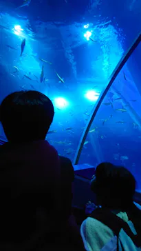 横浜・八景島シーパラダイスに投稿された画像（2026/2/22）