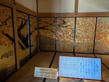 偕楽園本園に投稿された画像（2026/2/22）