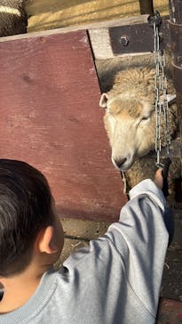 宇都宮動物園に投稿された画像（2026/2/22）