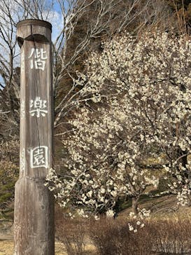 偕楽園本園に投稿された画像（2026/2/22）