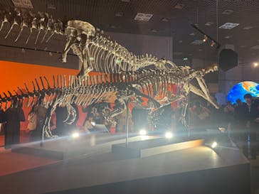 特別展「大絶滅展―生命史のビッグファイブ」に投稿された画像（2026/2/22）