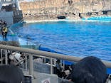 名古屋港水族館に投稿された画像（2026/2/22）