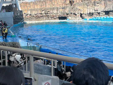 名古屋港水族館に投稿された画像（2026/2/22）
