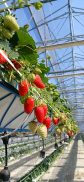 井上寅雄農園に投稿された画像（2026/2/22）