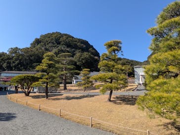 仙巌園に投稿された画像（2026/2/22）