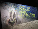 NAKED meets ガウディ展に投稿された画像（2026/2/22）
