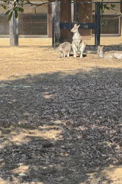 こども動物自然公園（埼玉県公園緑地協会）に投稿された画像（2026/2/22）
