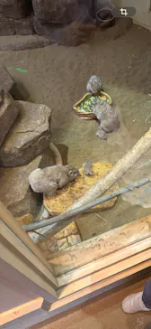 こども動物自然公園（埼玉県公園緑地協会）に投稿された画像（2026/2/22）