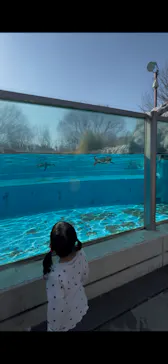 こども動物自然公園（埼玉県公園緑地協会）に投稿された画像（2026/2/22）