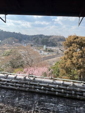 偕楽園本園に投稿された画像（2026/2/22）