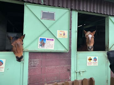 マザー牧場に投稿された画像（2026/2/22）