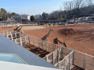 多摩動物公園に投稿された画像（2026/2/22）