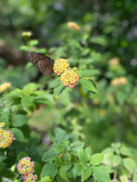 多摩動物公園に投稿された画像（2026/2/22）
