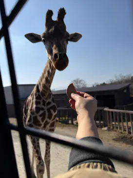 那須サファリパークに投稿された画像（2026/2/22）