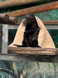 天王寺動物園に投稿された画像（2026/2/22）