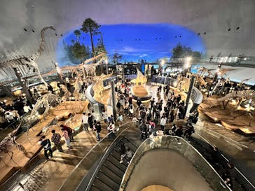 福井県立恐竜博物館に投稿された画像（2026/2/22）