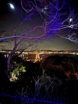 江の島シーキャンドルに投稿された画像（2026/2/22）