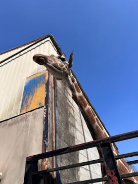 宇都宮動物園に投稿された画像（2026/2/22）